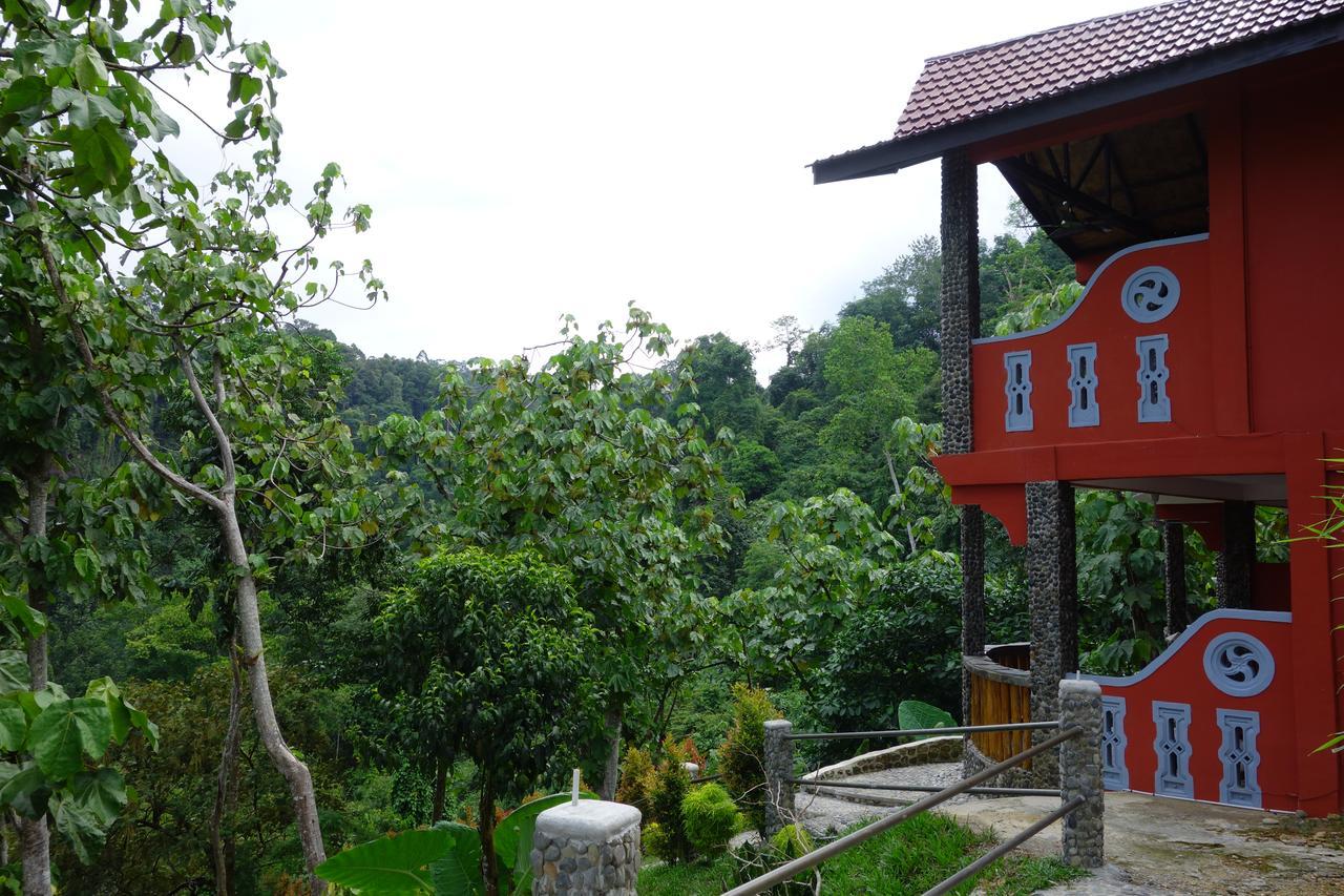 Hotel Orangutan Букит Лаванг Екстериор снимка